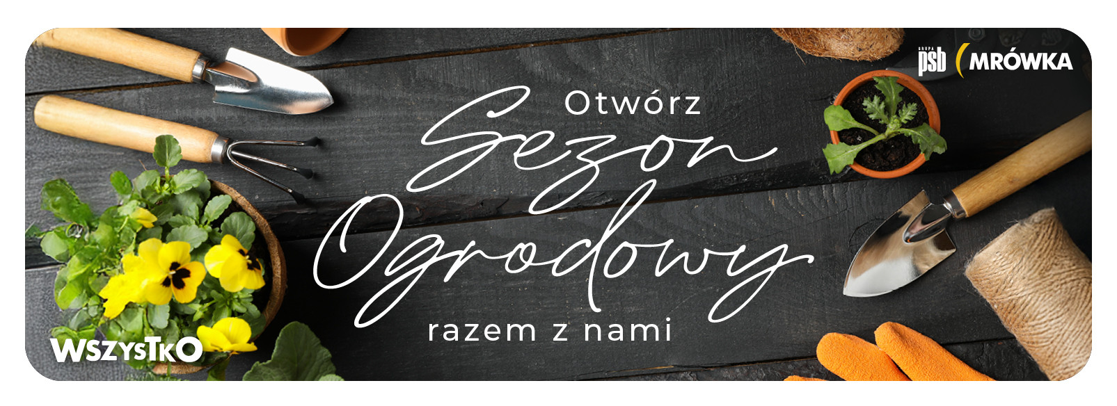 Grupa PSB mrowka Mrówka Myszków