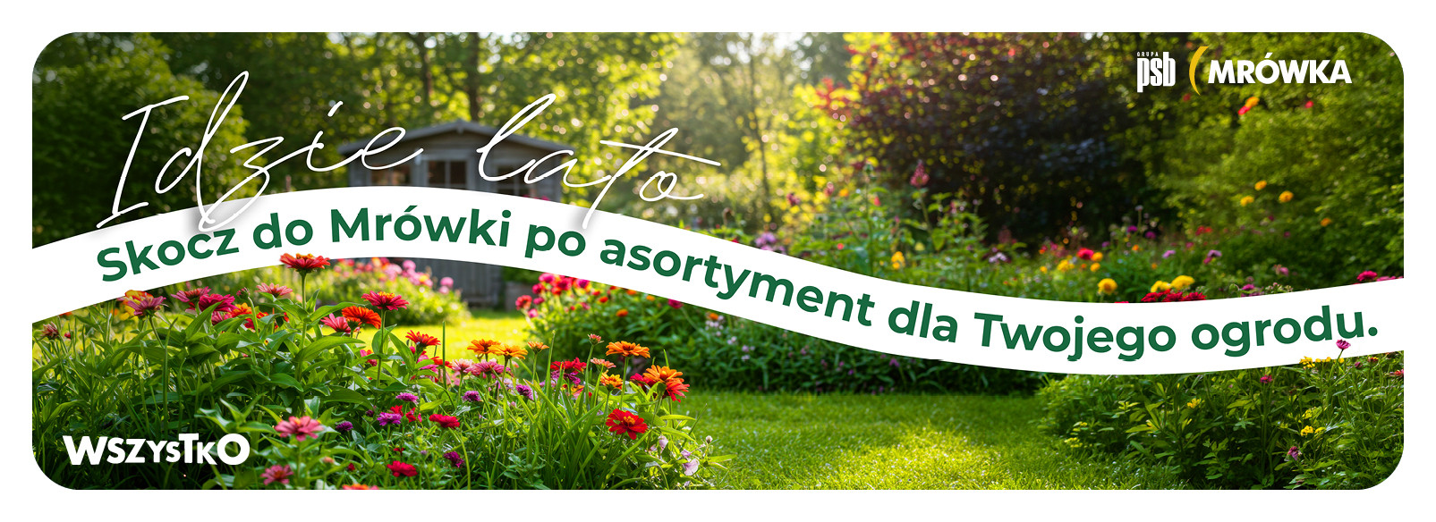 Grupa PSB mrowka Mrówka Myszków